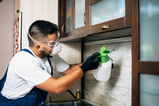 Best Cockroach Control Services  in Northdale, FL