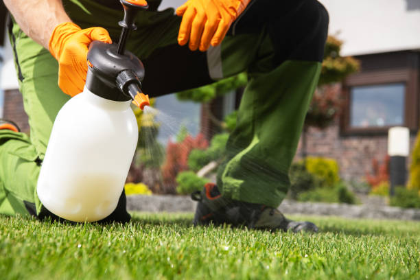 Best Commercial Pest Control Services  in Northdale, FL