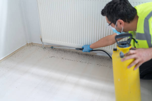 Best Exterminator Services  in Northdale, FL