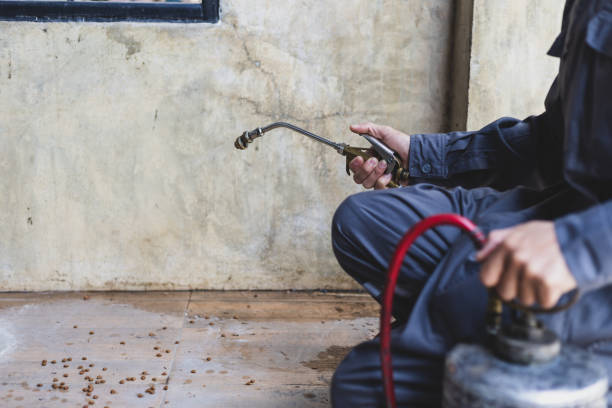 Best Emergency Pest Control  in Northdale, FL